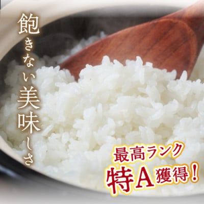 【令和6年産/直売所直送】検査1等米 丹後コシヒカリ 玄米5kg 直売所からおいしいお米をお届け