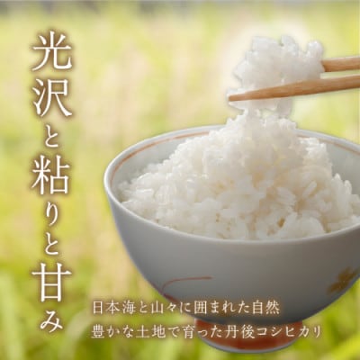 【令和6年産/直売所直送】検査1等米 丹後コシヒカリ 玄米5kg 直売所からおいしいお米をお届け