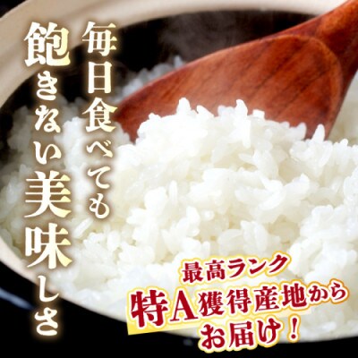 【令和7年産/直売所直送】検査1等米 丹後コシヒカリ 精米10kg 直売所からおいしいお米をお届け