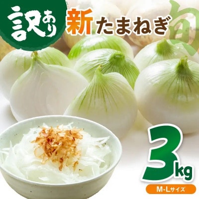 【訳あり】国産 新たまねぎ 3kg(約10～15玉) 直売所直送わけあり 不揃いですが新鮮