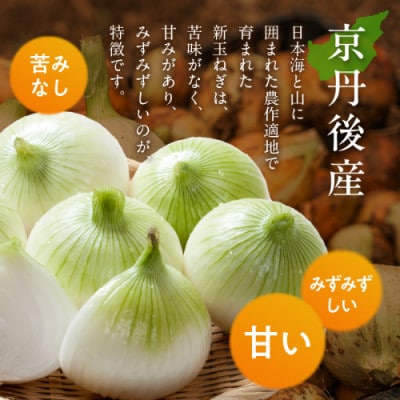 【訳あり】国産 新たまねぎ 3kg(約10～15玉) 直売所直送わけあり 不揃いですが新鮮