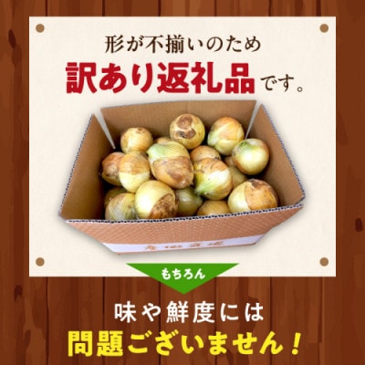 【訳あり】国産 新たまねぎ 3kg(約10～15玉) 直売所直送わけあり 不揃いですが新鮮