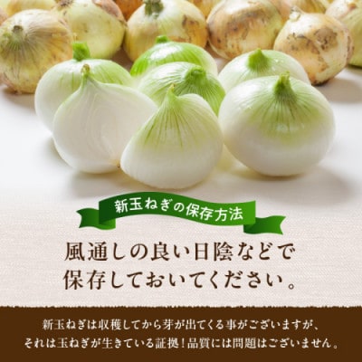 【訳あり】国産 新たまねぎ 3kg(約10～15玉) 直売所直送わけあり 不揃いですが新鮮