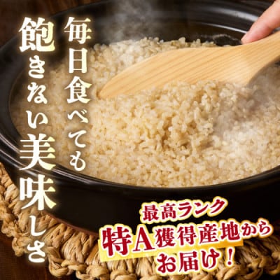【令和7年産/直売所直送】検査1等米 丹後コシヒカリ 玄米20kg 直売所からおいしいお米をお届け