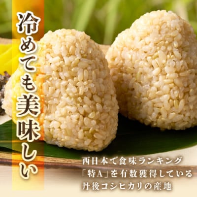【令和7年産/直売所直送】検査1等米 丹後コシヒカリ 玄米20kg 直売所からおいしいお米をお届け