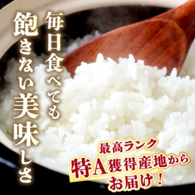 【令和7年産/直売所直送】検査1等米 丹後コシヒカリ 精米20kg 直売所からおいしいお米をお届け
