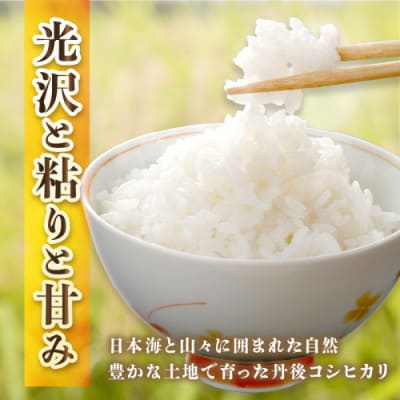 【令和7年産/直売所直送】検査1等米 丹後コシヒカリ 精米20kg 直売所からおいしいお米をお届け