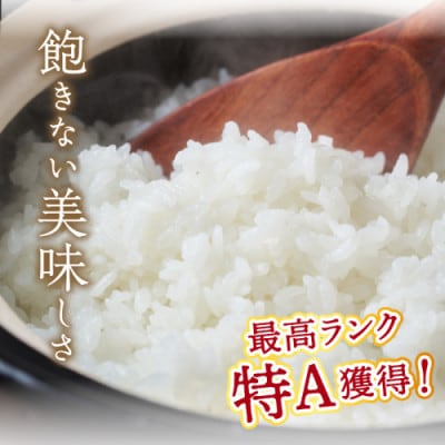 【毎月定期便】【直売所直送】検査1等米 丹後コシヒカリ 玄米5kg全3回