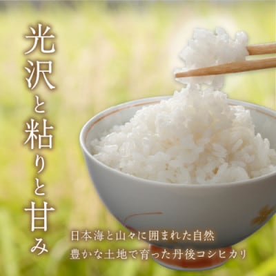 【毎月定期便】【直売所直送】検査1等米 丹後コシヒカリ 玄米5kg全3回