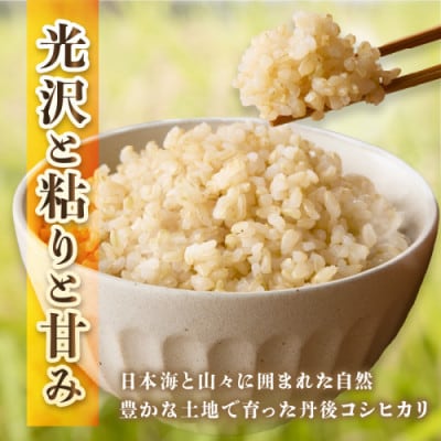 【毎月定期便】【直売所直送】検査1等米 丹後コシヒカリ 玄米10kg全3回