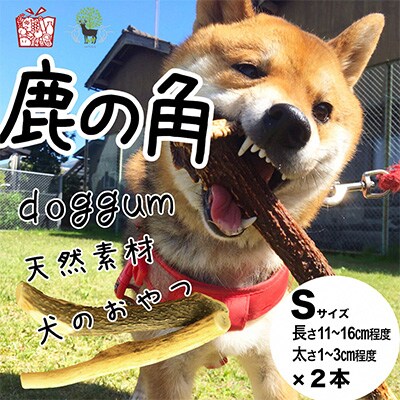 鹿の角 Sサイズ 2本 京都丹後産 ペット犬用おやつ ドッグガム お礼品詳細 ふるさと納税なら さとふる