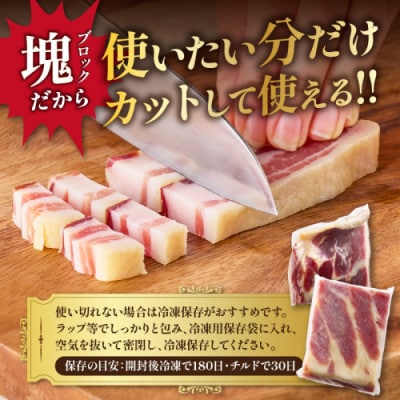 【毎月定期便】手仕込み熟成パンチェッタ ブロック 400g (約200g×2袋)  生ベーコン全3回