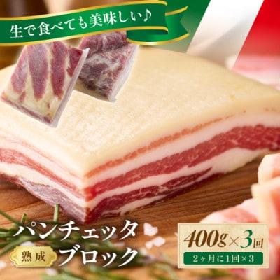【2ヵ月毎定期便】手仕込み熟成パンチェッタ ブロック 400g(約200g×2袋) 生ベーコン全3回