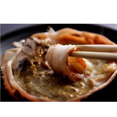 【厳選】茹で松葉蟹 8L(1300g前後)×1杯　★11月10日頃～12月順次発送予定