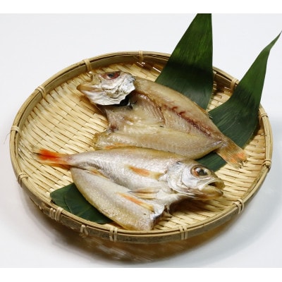自家製干物「旨干し」セット　漁師町の味!【旬の旨干し干物セット】