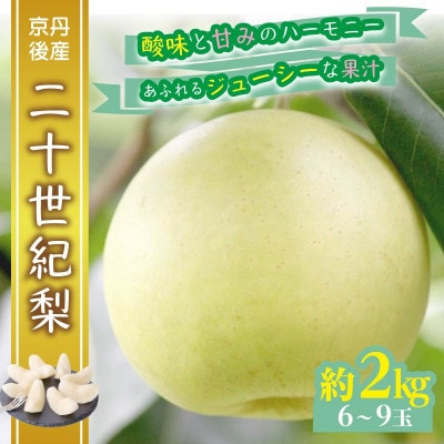 【京都　京丹後産】二十世紀梨　2kg