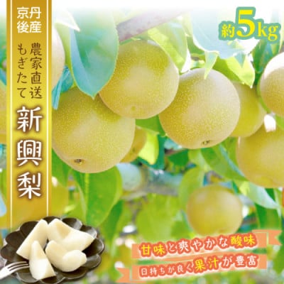 京都丹後産 新興梨 5kg 農家直送もぎたて新興梨