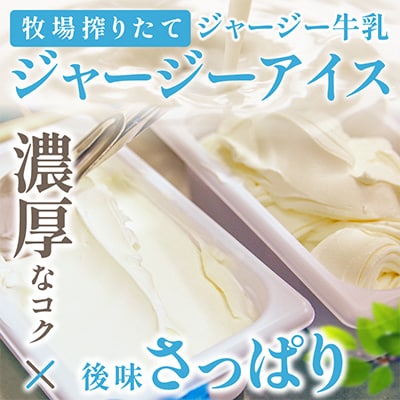 丹後ジャージー牧場直送!搾りたてジャージー牛乳から作る濃厚ミルクのジャージーアイス6個セット