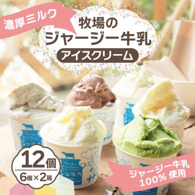 丹後ジャージー牧場直送!搾りたてジャージー牛乳から作る濃厚ミルクのジャージーアイス6個セット×2箱