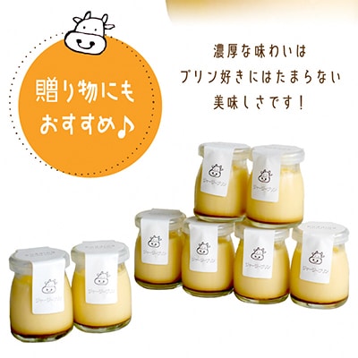 【牧場直営】搾りたての新鮮ミルクで作る「ミルク工房そら」の濃厚ジャージープリン　8個入り
