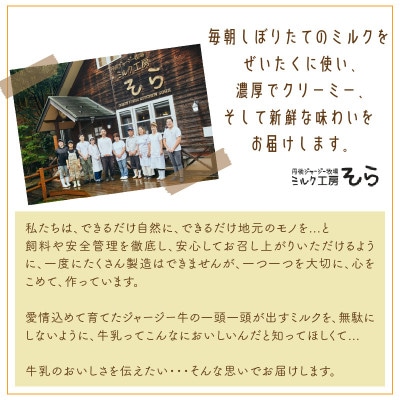 【牧場直営】とろとろ食感の濃厚ジャージープリン8個　搾りたての新鮮ミルクで作る優しい味わいのスイーツ