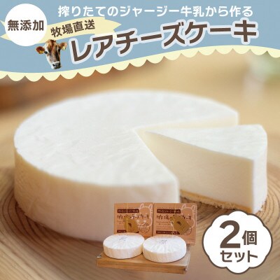 丹後ジャージー牧場直送!搾りたてのジャージー牛乳から作る無添加クリームチーズのチーズケーキ2個セット