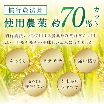 京丹後米　特別栽培米ミルキークイーン 5kg