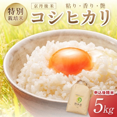 京丹後米　特別栽培米コシヒカリ 5kg