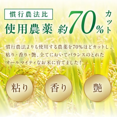 京丹後米　特別栽培米コシヒカリ 5kg
