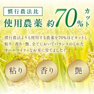 京丹後米　特別栽培米コシヒカリ 10kg