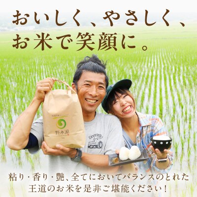京丹後米　特別栽培米コシヒカリ 10kg