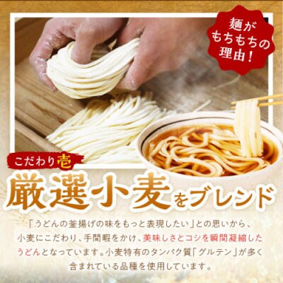 【毎月定期便】京丹後つねよしの冷凍うどん 5玉入り(5食分) 濃縮出汁付き全3回