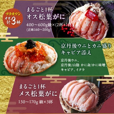 まるごと松葉がにプラスワン(オス3個入)おせち【風雅(ふうが)/京丹後うに】「二段重」《祝鯛付き》