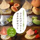 種類おまかせ　京丹後のフルーツを使用したライスジェラートセット 3種×2個
