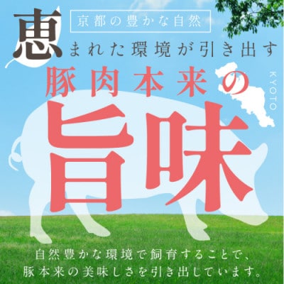【京ブランド豚使用】京都産こだわり豚肉こま切れ 4kg(500g×8パック) 小分け 冷凍細切れ肉