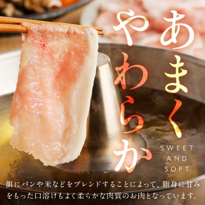 【京ブランド豚使用】京都産こだわり豚肉お楽しみセット 2種 1.2kg(バラ+ロースor肩ロース)