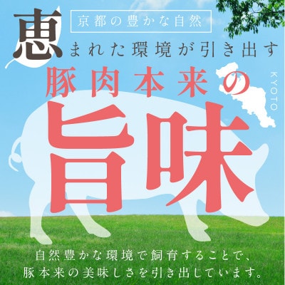 【2ヵ月毎定期便】【京ブランド豚使用】京都産こだわり豚肉こま切れ 2kg(250g×8パック)全3回