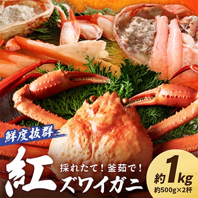 採れたて!釜茹で!　紅ズワイガニ　2杯　冷蔵便