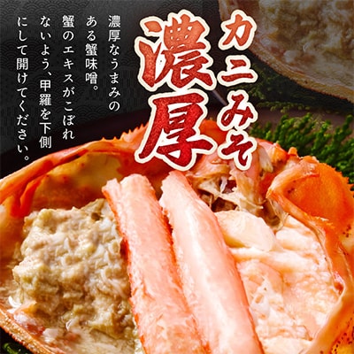 採れたて!釜茹で!　紅ズワイガニ　2杯　冷蔵便