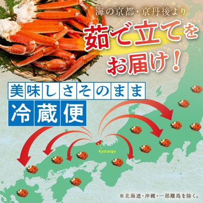 大好評!かに酢付き 厳選!!釜茹で 本ズワイガニ 2Lサイズ4肩 冷蔵便 ずわい蟹足 やわらかい蟹肉