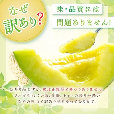 みんな大好き甘～ぃ!京丹後砂丘めろん! 1玉(2026年7月下旬～発送)　先行受付