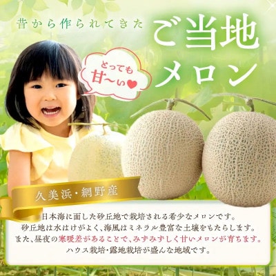みんな大好き甘～ぃ!京丹後砂丘めろん! 2玉　(2026年7月下旬～発送)　先行受付