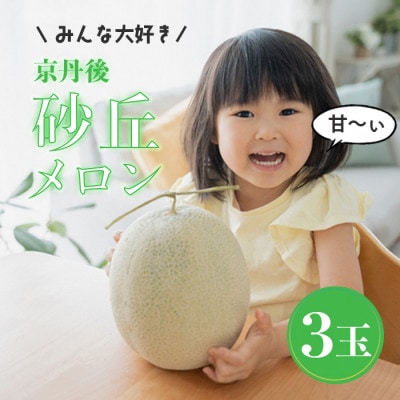 みんな大好き甘～ぃ!京丹後砂丘めろん!3玉(2025年7月下旬～順次発送)　先行受付