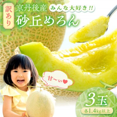 みんな大好き甘～ぃ!京丹後砂丘めろん!3玉(2026年7月下旬～順次発送)　先行受付
