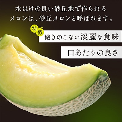 みんな大好き甘～ぃ!京丹後砂丘めろん!3玉(2025年7月下旬～順次発送)　先行受付