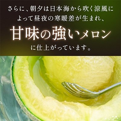 みんな大好き甘～ぃ!京丹後砂丘めろん!3玉(2025年7月下旬～順次発送)　先行受付