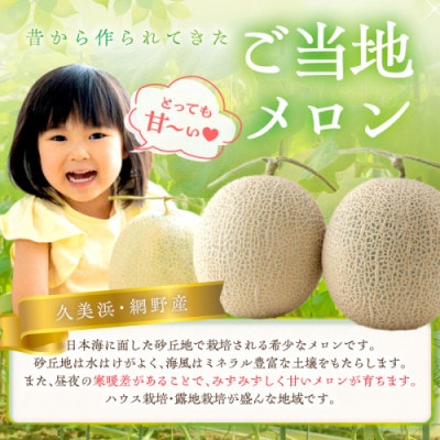 みんな大好き甘～ぃ!京丹後砂丘めろん!3玉(2026年7月下旬～順次発送)　先行受付
