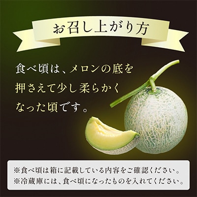 みんな大好き甘～ぃ!京丹後砂丘めろん!3玉(2025年7月下旬～順次発送)　先行受付