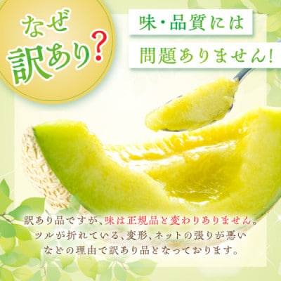 みんな大好き甘～ぃ!京丹後砂丘めろん!3玉(2026年7月下旬～順次発送)　先行受付