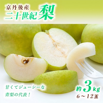 甘～ぃ!ジューシー!青梨の代表 京丹後産二十世紀梨 3kg(6～12玉)(2025年9月上旬～発送)